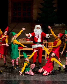 Gli Elfi di Babbo Natale